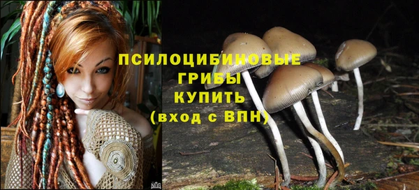 гидра Бронницы