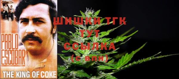 гидра Бронницы