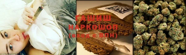 гидра Бронницы