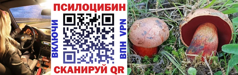 Псилоцибиновые грибы Psilocybine cubensis  где купить наркоту  Петров Вал 